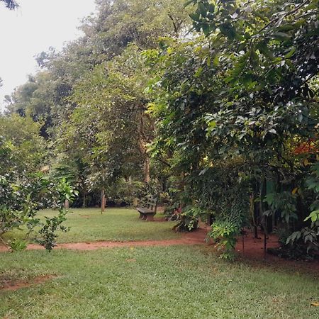 Laliz Bed & Breakfast Galle Ngoại thất bức ảnh